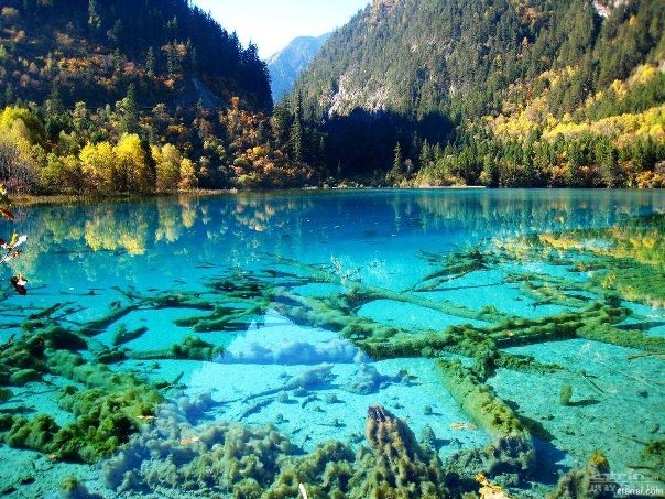 Five-Flower-Lake-Wallpaper.jpg
