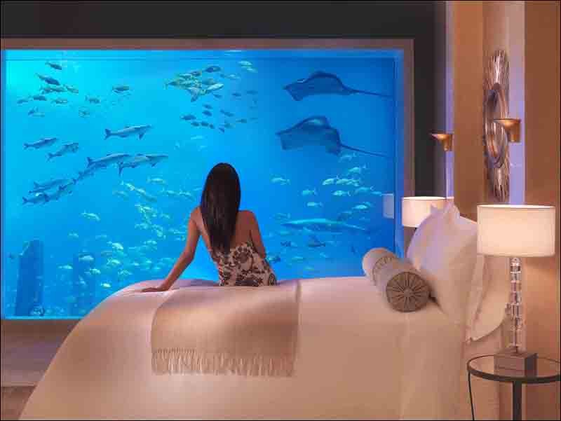 PoseidonSuite6.jpg