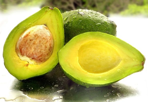 Avocado.jpg