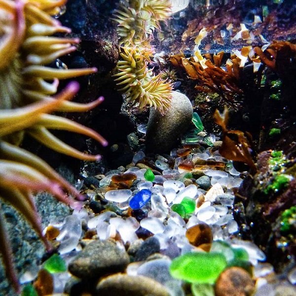 Glass-Beach-Underwater.jpg