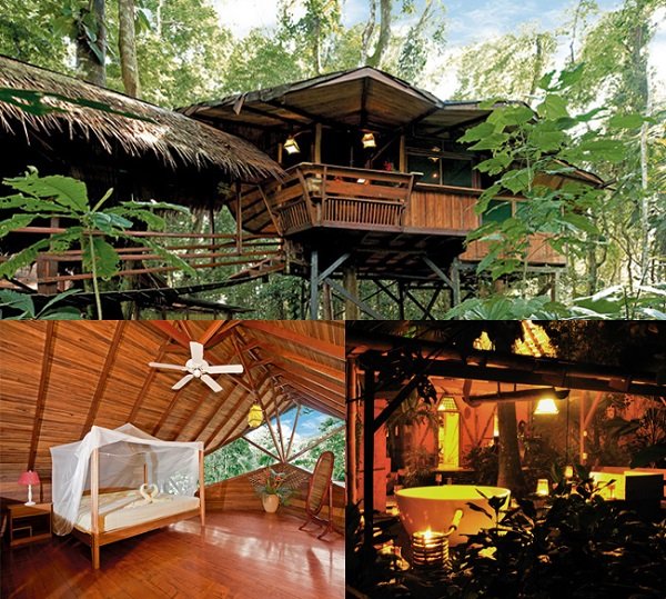 treehouse1